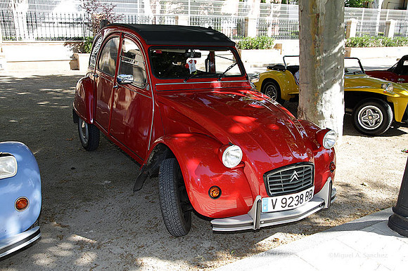 VIIConcentracionUtiel092