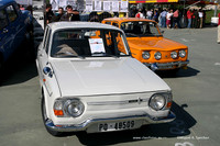 FVCP2009013