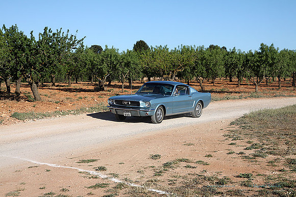 IIIEncuentroAmigosDelMotor087