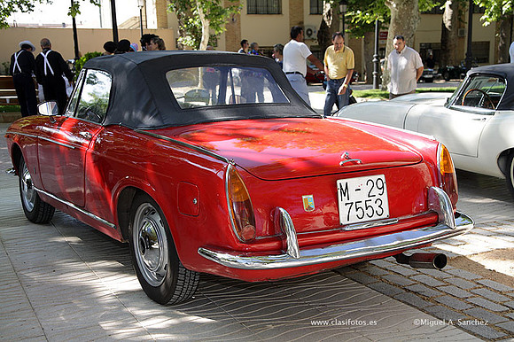 VIIConcentracionUtiel159
