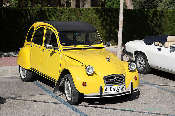 IIConcMoraira005