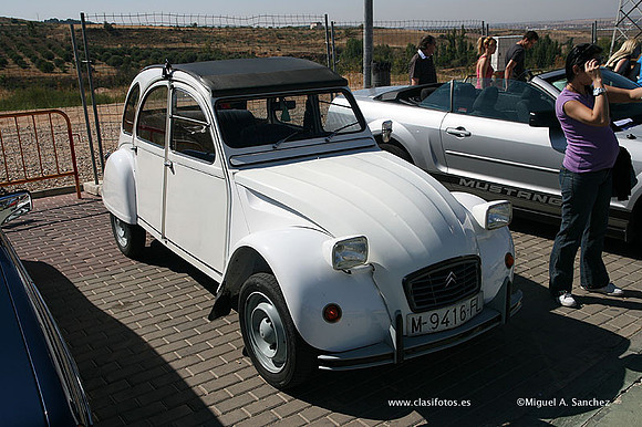 FVCP2009271