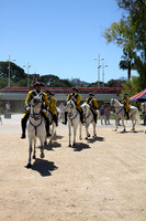 MuseoVivo2015015