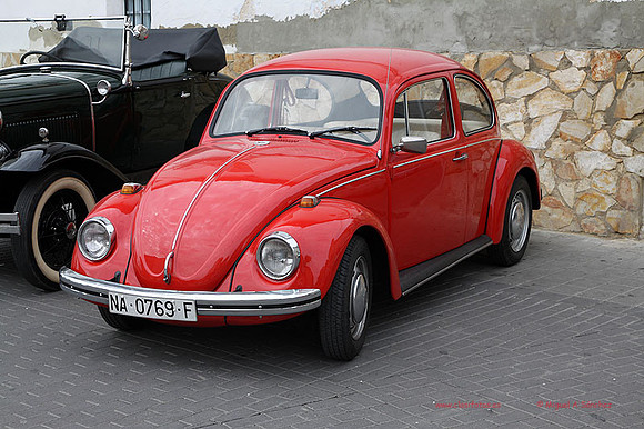 IIConcChiva019
