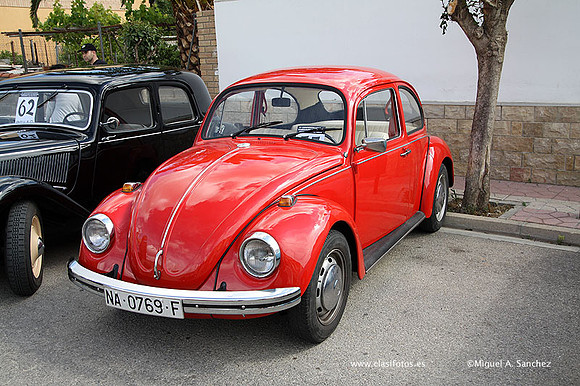 IVConcentracionYatova007