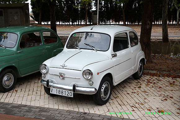 VIIIConcentracionUtiel013