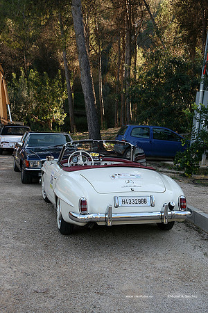 XRallyeEnero466