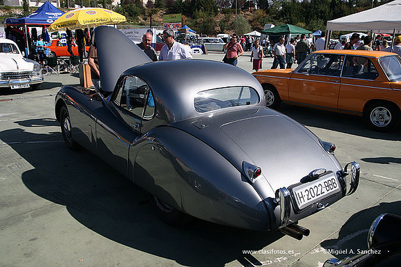 FVCP2009227