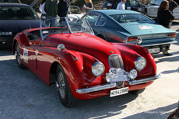 XRallyeEnero325