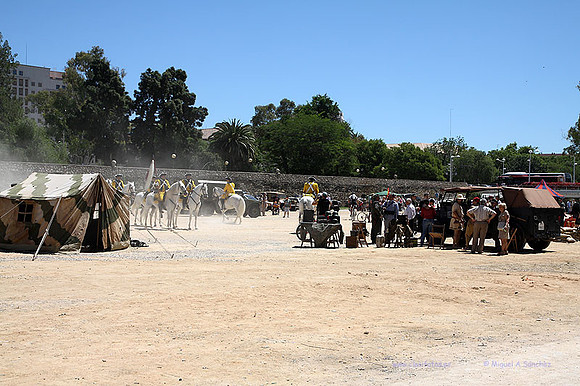 MuseoVivo2015086