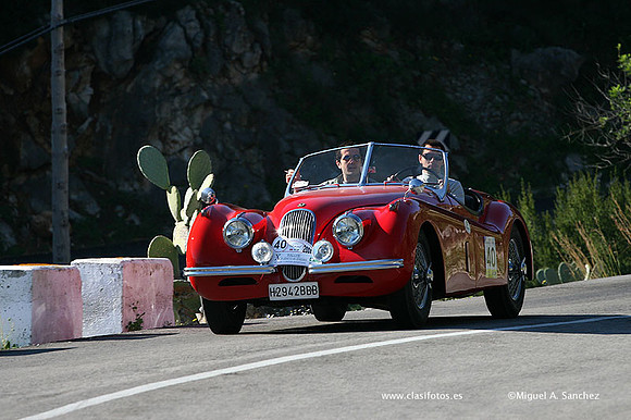 XRallyeEnero286