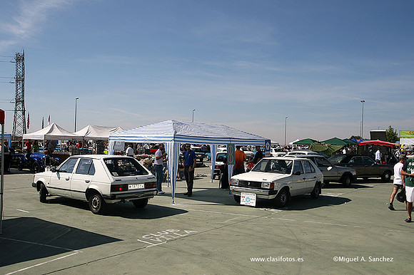 FVCP2009313