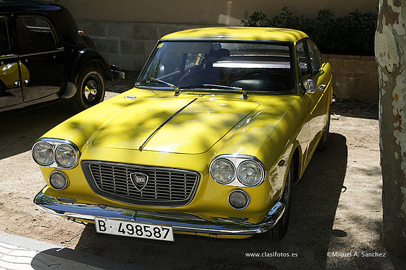 VIIConcentracionUtiel195