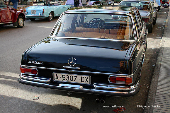Beniganim080