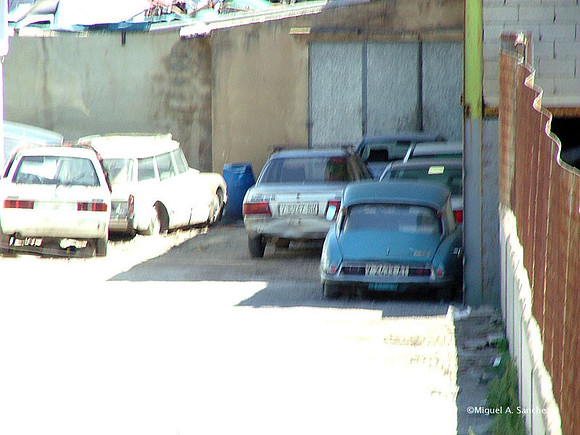 DSCF1412