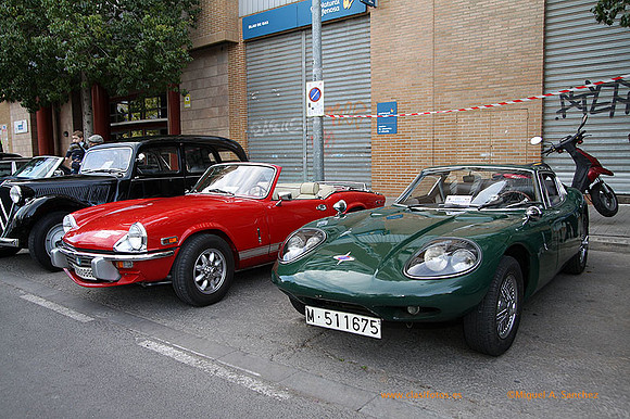 ConcentracionOrriols2013_146