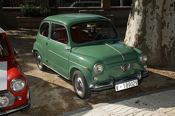 VIIConcentracionUtiel009