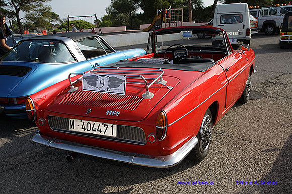 IVConcAlzira064