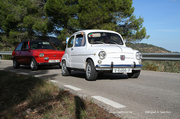 RallyTuris262