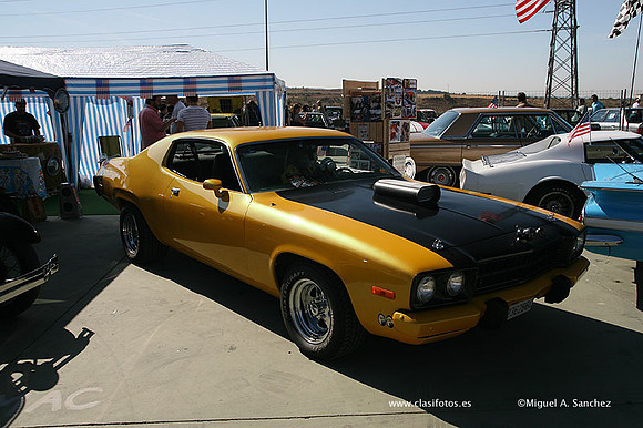 FVCP2009181