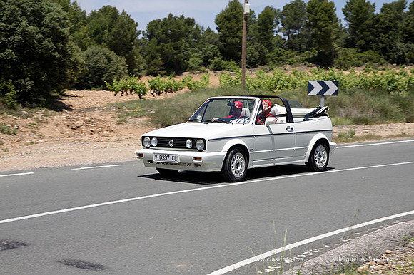 VIIConcentracionUtiel504