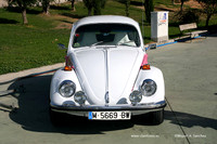FVCP2009001