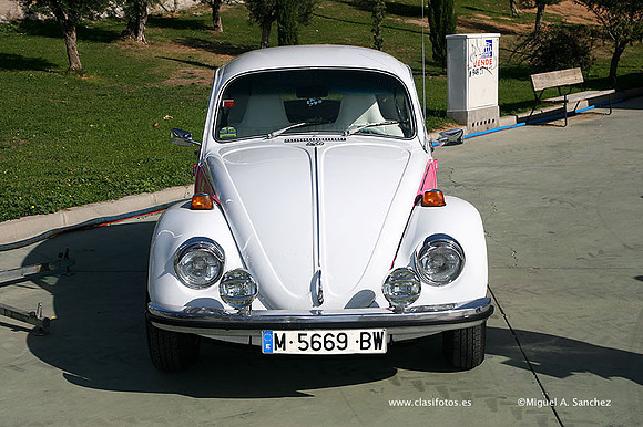 FVCP2009001