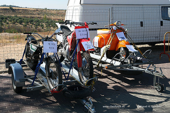 FVCP2009279