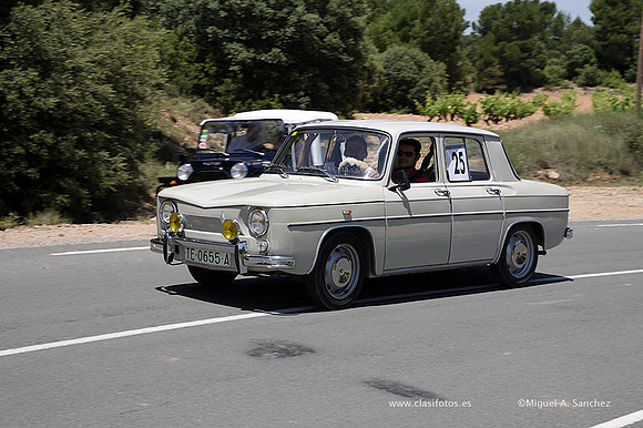 VIIConcentracionUtiel540