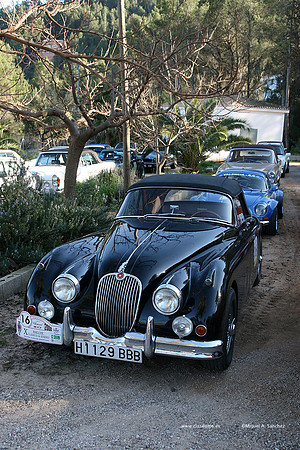 XRallyeEnero456