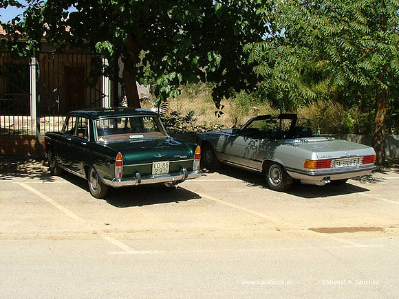 DSCF9463
