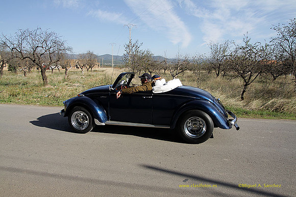 V ConcentracionCasinos100