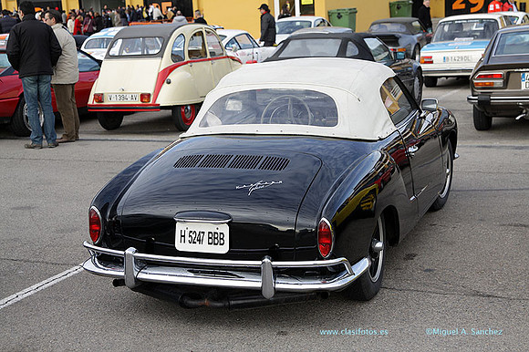 8JornadasEducacionEspecial166