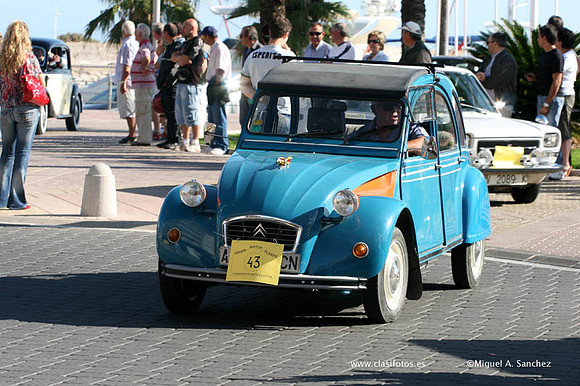 VConcGandia293