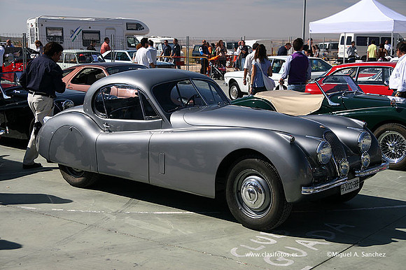 FVCP2009330