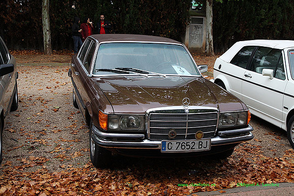 VIIIConcentracionUtiel042