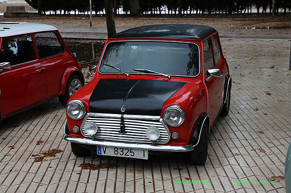 VIIIConcentracionUtiel010