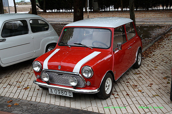 VIIIConcentracionUtiel012