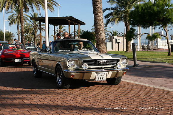 VConcGandia091