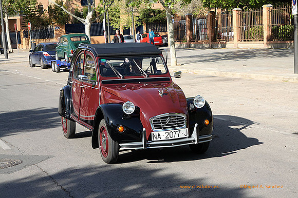 ConcentracionOrriols2013_090