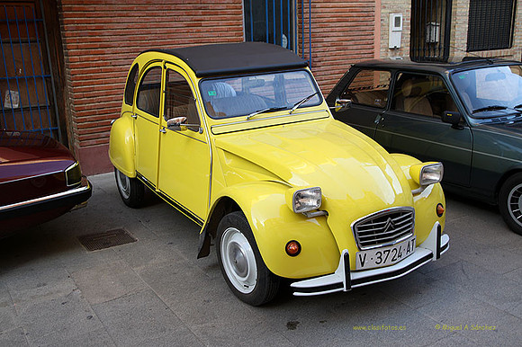 XConcentracionTorrente131