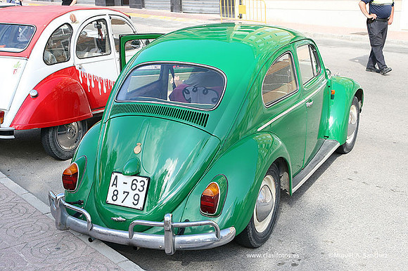 ConcentracionBocairent09056