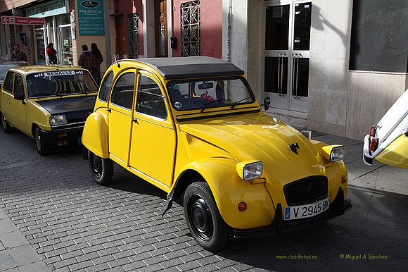XConcentracionTorrente211