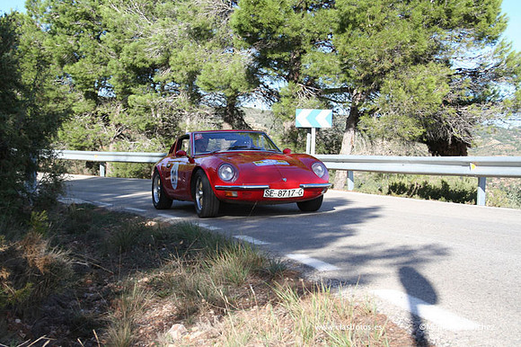 RallyTuris319