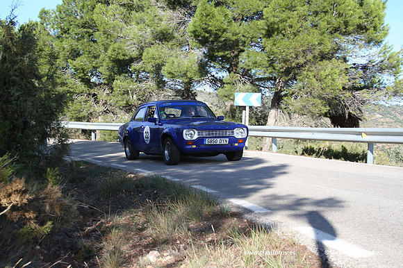 RallyTuris313