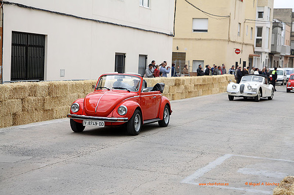 AgroGuadassuar0051