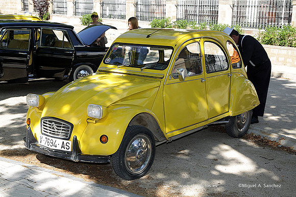 VIIConcentracionUtiel096
