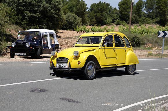 VIIConcentracionUtiel527