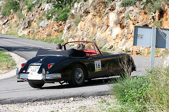 XRallyeEnero190
