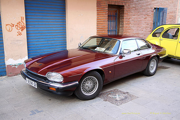 XConcentracionTorrente132